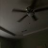 p_longacre